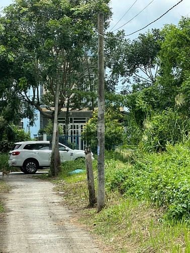 Bán 6000m2 đất nông nghiệp huyện Nhà Bè, tiện làm nhà vườn, trang trai