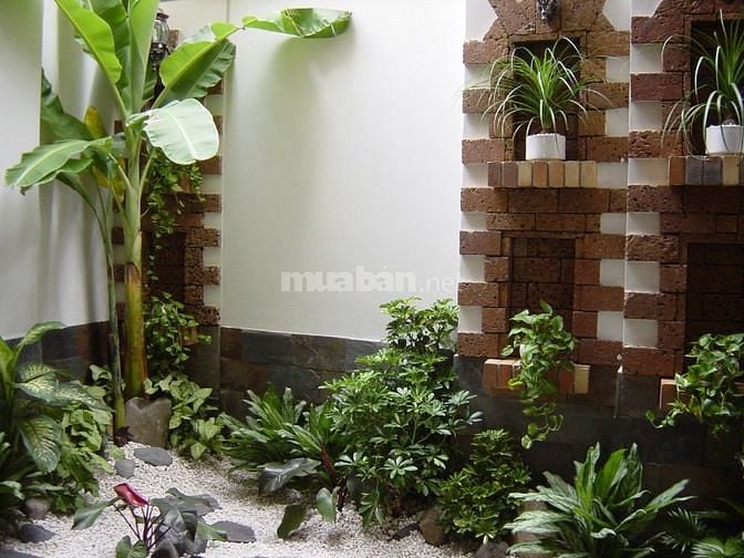 Biệt thự Nguyễn Trọng Tuyển Q.Phú Nhuận DT:7,5 x 21m 3 Tầng Giá 45 Tỷ