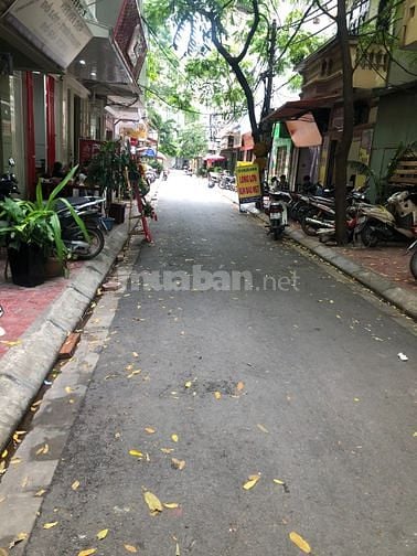 HIẾM - BÁN NHÀ PHÂN LÔ PHỐ ĐÀO TẤN -PHAN KẾ BINH (Ô TÔ ĐỖ CỬA)