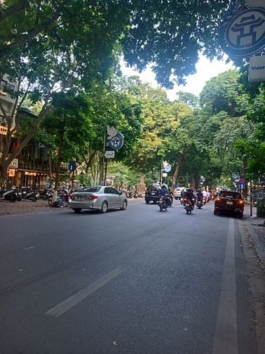 Chuyển công tác bán gấp nhà phố Phan Đình Phùng Ba Đình 50m 4 tầng