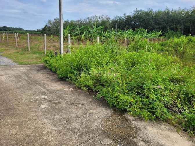 5x38. Hơn 190m2 có thổ cư. Đường bê tông. Gần KCN. 550tr