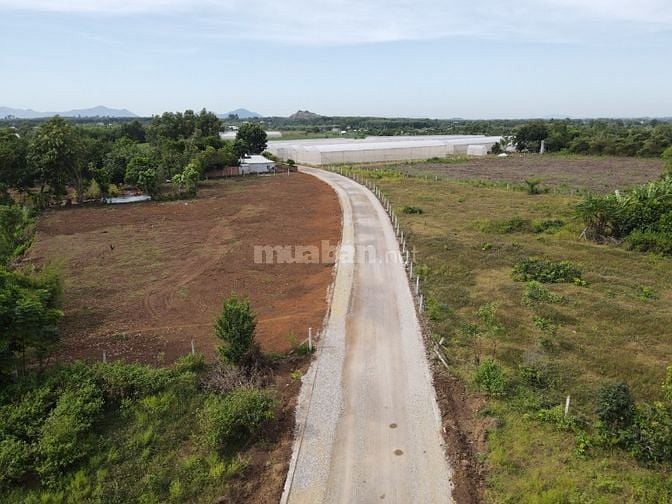 Bán nhanh lô đất thổ cư sát KCN Đất Đỏ, huyện Đất Đỏ, giá cực tốt !!!