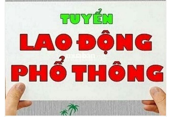 Việc làm LĐPT đi làm ngay không cần kinh nghiệm bằng cấp có ca 4 6 8 t