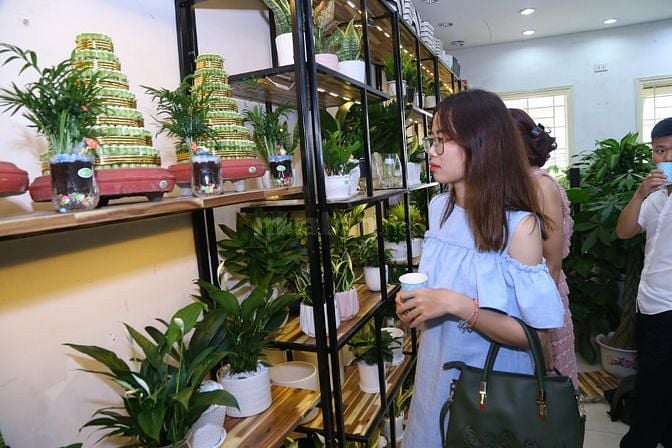 NV Bán Hàng Ca Tối 18h-21h Shop Hoa Cây Cảnh Trung Kính lương cao