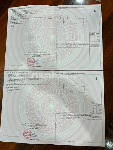 Căn biệt thự bán gia rẻ siêu ngộp moi người mua lấy Lộc đầu năm nha