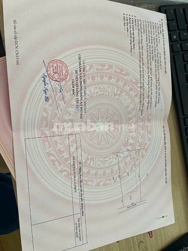BÁN LÔ ĐẤT THỔ CƯ cách QL 50 100m Xã Thạnh Nhựt, Gò Công Tây 