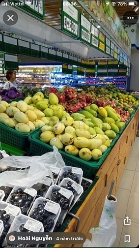 VIỆC LÀM THÊM KHU VỰC QUẬN GÒ VẤP - TPHCM