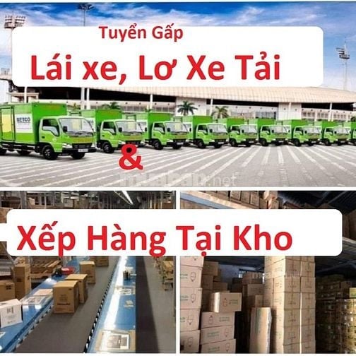 Tuyển LĐPT Phụ Xe Bốc Xếp Nhận Cả Nhân Viên làm Thêm Và Làm Thời Vụ