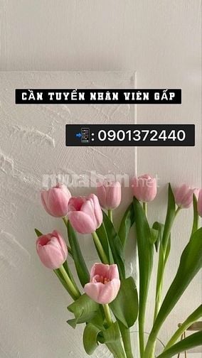Cần tuyển nhân viên bán hàng cho chi nhánh mới