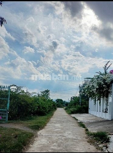 Tôi Chính Chủ Bán Lô Đất Thổ Cư ở Ninh Bình - Ninh Hoà. Xem Ngay