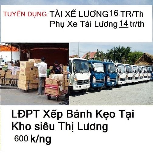 Bình Dương Tuyển LĐPT Phụ kho Bốc xếp + Lơ xe và Tài Xế Lương 16tr/th