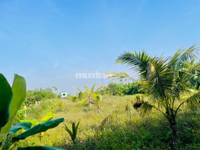 Đất View Sông Ninh Phụng gần TT Thị Xã Ninh Hoà 