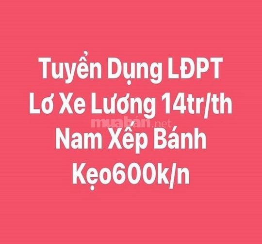 Bình Dương Tuyển LĐPT Phụ kho Bốc xếp + Lơ xe và Tài Xế Lương 16tr/th