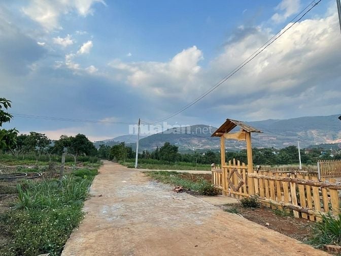 Bán lô đất sát nhựa đối diện cổng thôn Tầm Xá xã Đông Thanh giá 650 tr