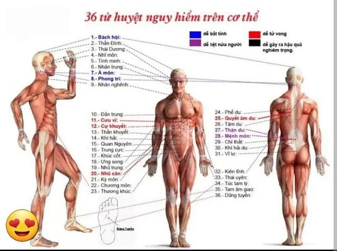 Massage Ấn Huyệt chăm sóc sức khỏe kinh nghiệm 6 năm lực mạnh 