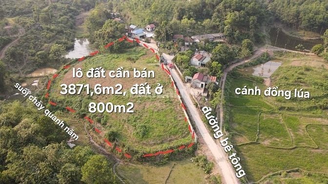 cần bán lô đất 3871m2 vị trí đẹp xã cao sơn giá rẻ