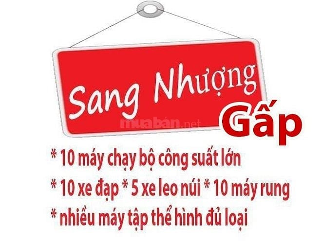 Sang nhượng * 10 máy chạy bộ công suất lớn * 10 xe đạp * 5 xe leo núi.