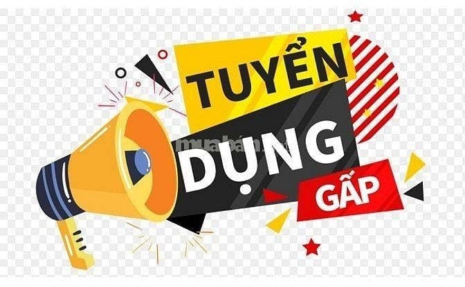 Tuyển tài xế chạy xe tải nhỏ nội thành sức khoẻ tốt