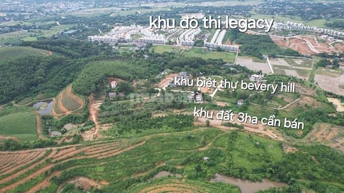 cần bán gấp 3ha đất thổ cư gần khu đô thị legacy hill