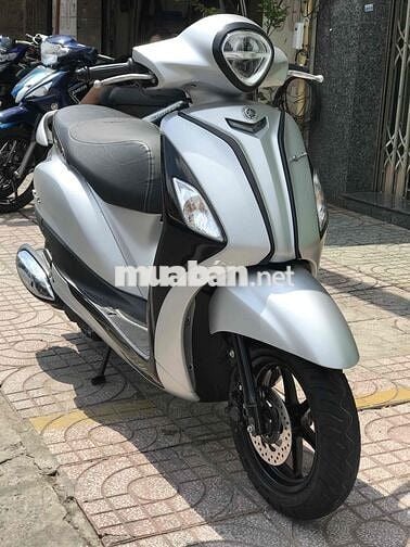 GRANDE ABS T12/2018 - Y HÌNH - GÓP ĐƯA 0đ