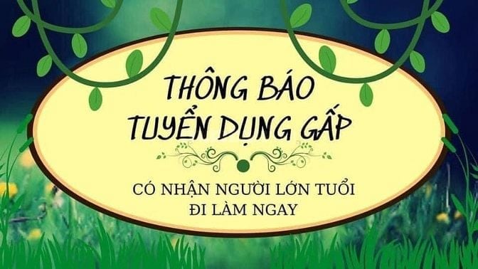 Chính chủ cần người làm gấp ( có cccd gốc làm được) 