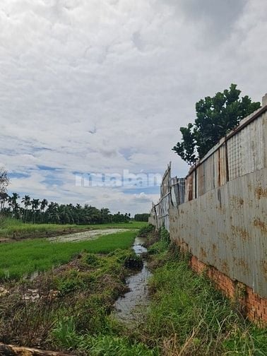 Bán Đất Mặt Tiền Đường Kênh 10- Lê Minh Xuân - Bình Chánh