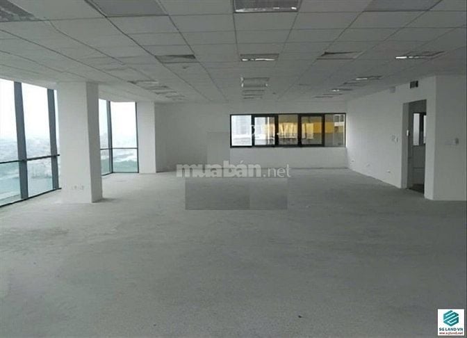 Dòng Tiền 3.6Ty/Năm,Bán Tòa Nhà Văn phòng&CHDV MT Tống Hữu Định 110TY