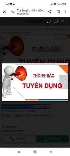 Cần NV gói quà tết. bán hàng tại quầy. Làm kho. Ko cần trình độ 