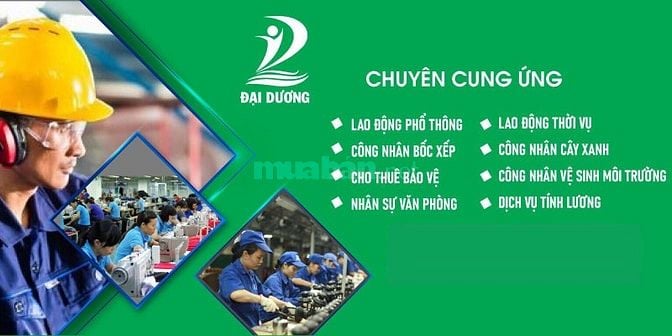 DV CUNG ỨNG LAO ĐỘNG PHỔ THÔNG NHANH CHÓNG -UY TÍN TẠI HÀ NỘI