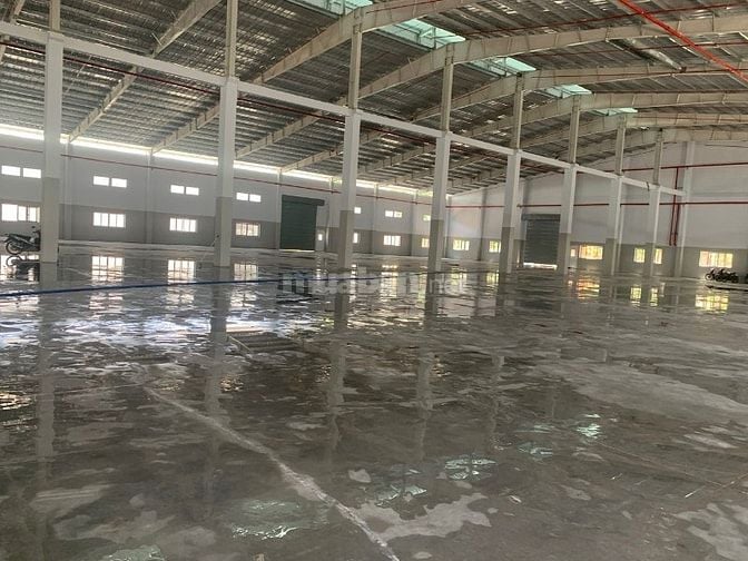 Cho thuê kho xưởng 5000m2; 8000m2; 15000m2; 25000m2 KCN Phú Mỹ, BRVT