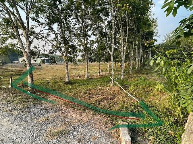 Đất thồ cư giá 1,2 tỷ, SHR ngay chủ, KT:10x50m (492m2) 