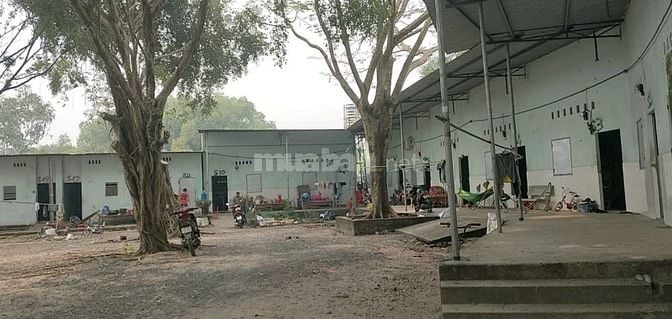 Bán đất Trần Ngọc Lên - Định Hòa, TDM, Bình Dương