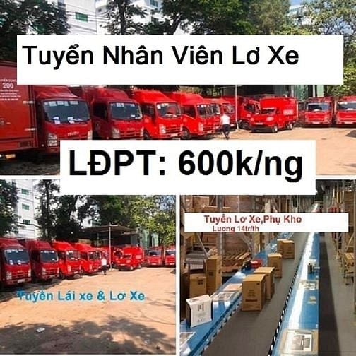 Việc Tài Xế Lái Xe Lơ Xe Bốc Xếp Bánh Kẹo Lương Cao 16 Triệu