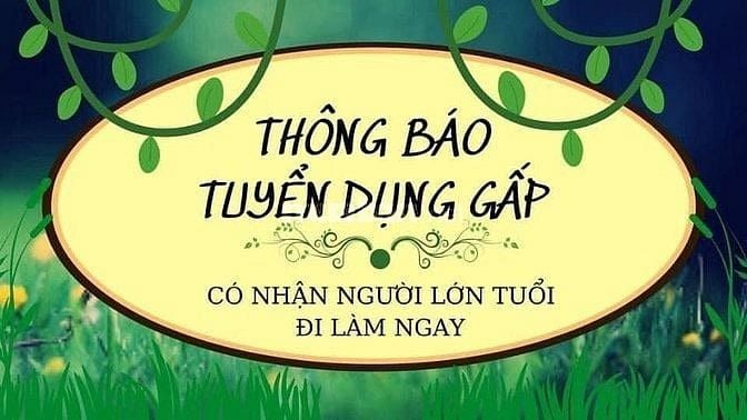 TUYỂN DỤNG VIỆC LÀM CÁC VỊ TRÍ SAU