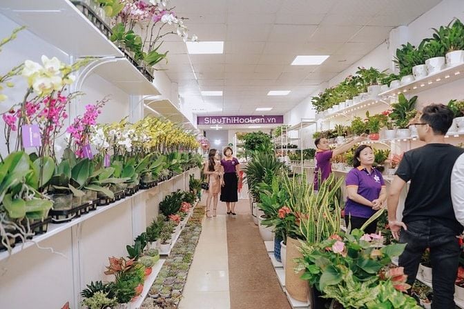 Partime Bán hàng ca tối shop Hoa Lan cây cảnh