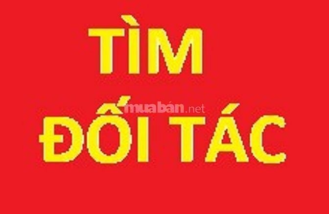 Tìm đối tác xem phong thủy, tử vi, có giờ sinh tư vấn vận hạn