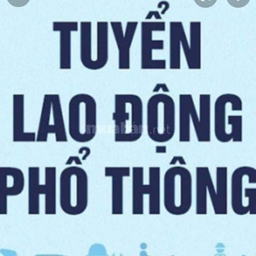 Tuyển thủ kho và nv phụ kho. Không cần kinh nghiệm