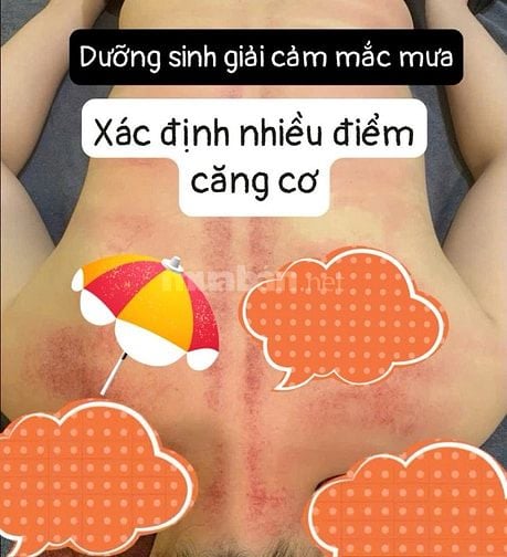 Combo giải cảm - Đầu cổ vai gáy - cột sống thắt lưng eo - Sàn chậu .