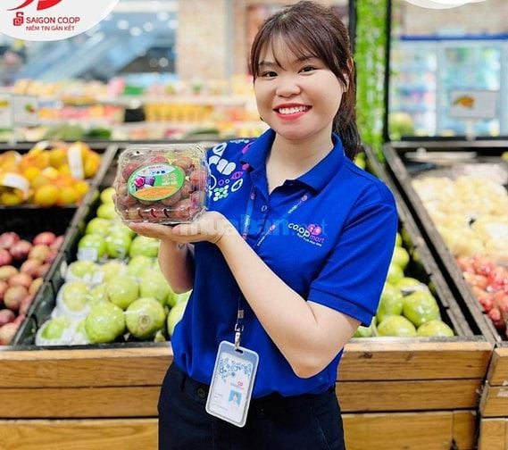 BỔ SUNG Nhân Sự Thời Vụ Và Chính Thức Tại COOPMART