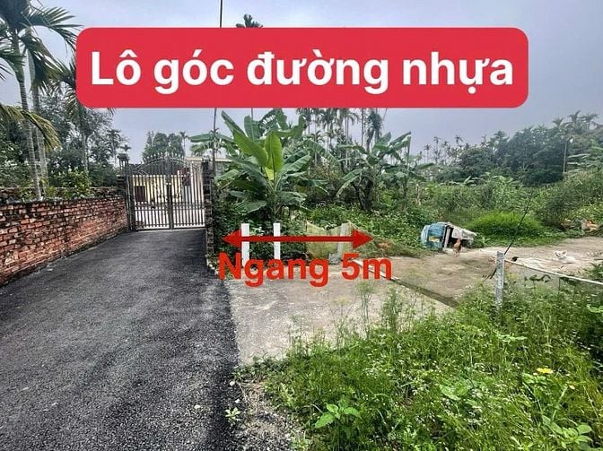 Mặt đường  nhựa Hòa Nghĩa  chỉ 9xx giá  đầu tư  - Diện tích 73.5m