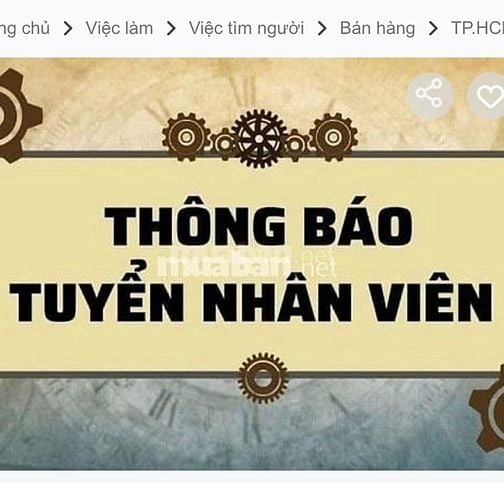 Tuyển nhân viên văn phòng làm việc tại TPHCM không cần kinh nghiệm 