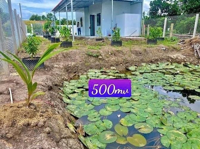 550m2 nhà + vườn, sổ hồng , ql13 quẹo vào 1,2km