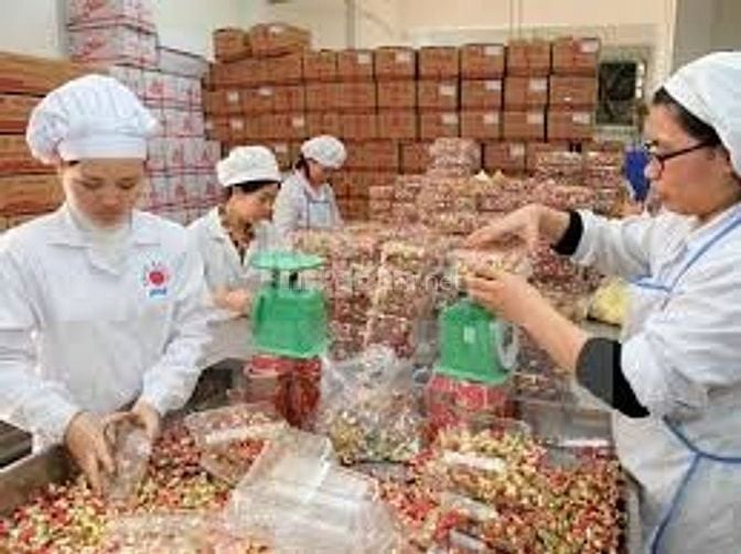 Cần Nv kho,dập bao bì,dán tem mác và đóng gói bánh kẹo tại Ninh Bình