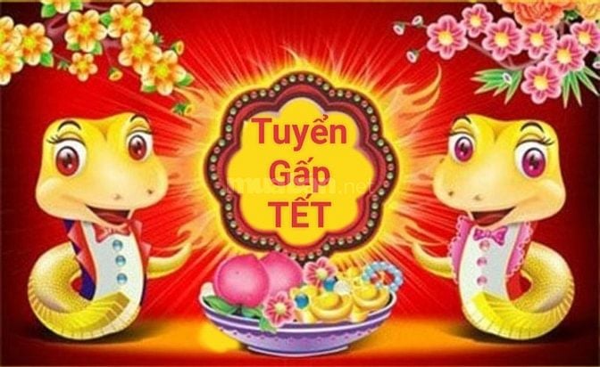 VIỆC LÀM CHO NGƯỜI LỚN TUỔI VÀ MẸ BỈM SỮA TẠI GÒ VẤP