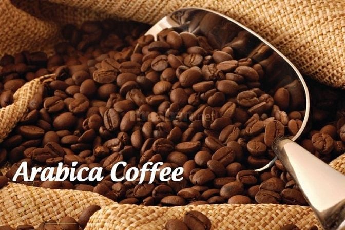 Cà phê Arabica rang xay tại chỗ