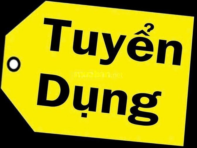 TUYỂN NV HÀNH CHÁNH NHÂN SỰ TĂNG CƯỜNG DỊP TẾT