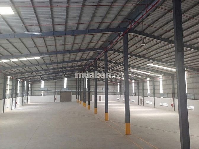 Cho thuê /bán kho xưởng 6100 m2  KCN Tân Thạnh Đông, Củ Chi, X: 3600m2