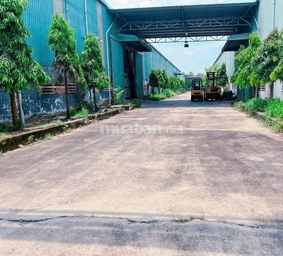 Cho thuê kho xưởng  20.000m2 tại Bến Lức , Long An - xưởng : 13.000m2