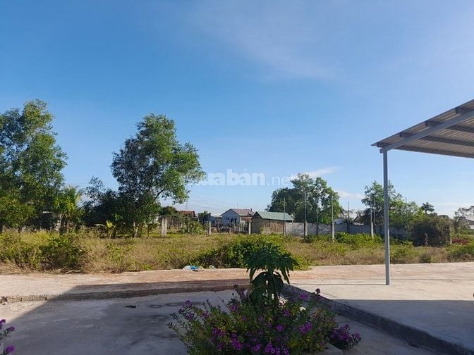 Đất thổ cư chính chủ 440m2, có sổ đỏ, cách TP. Phan Thiết 3km.