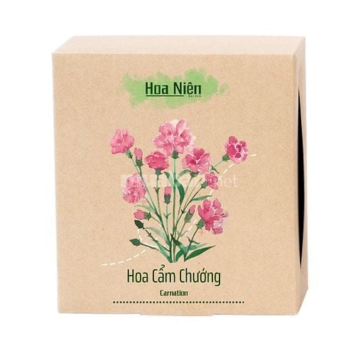 Bộ Kit Hoa Cẩm Chướng Hoa Niên Garden